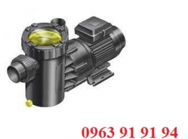 Máy bơm lọc Procopi P-MAX 1.1HP