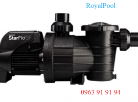Máy Bơm Hồ Bơi Davey StarFLo 300