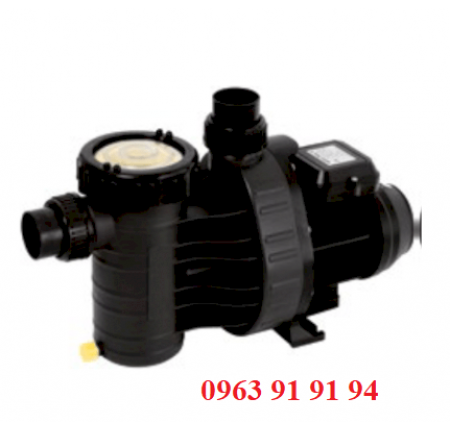 Máy bơm bể bơi Procopi P- AP 0.95HP
