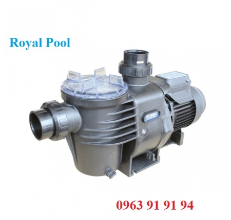 Máy bơm hồ bơi Waterco Hydrostom 1.5HP